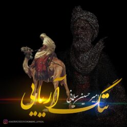 دانلود آهنگ امیرحسین سلمانی ننگ آریایی